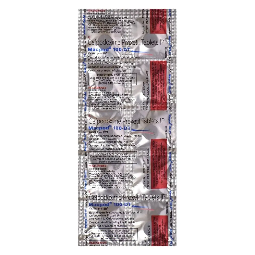 81zrKgZ5eAL._UF1000,1000_QL80_.webp
