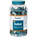 himalaya-koflet-lozenges-jar-of-16040-lozenges-free-2-1697696416.webp