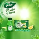 DABUR PUDIN HARA CAP 1*10
