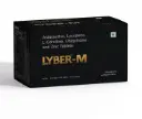LYBER M TAB 10TAB 1*10